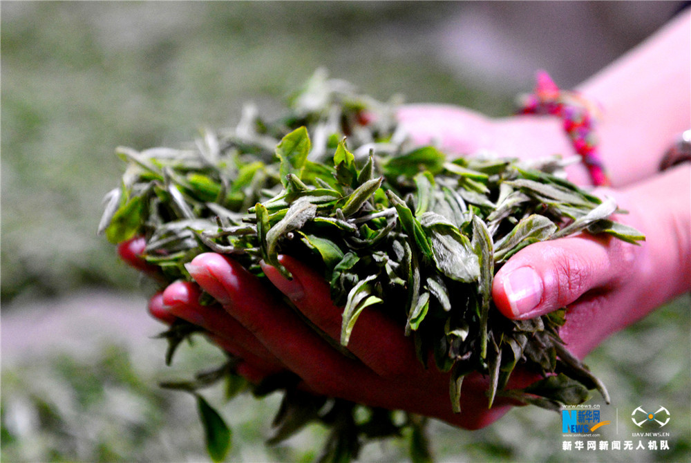 ڹʤд壬ũչʾղժĴ衣