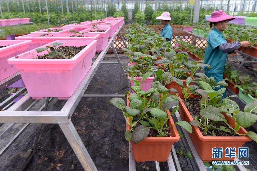 410գڽʡҶƺִЧũҵ԰ڣ򹤵Ĵ鿴߲˵ĳơ