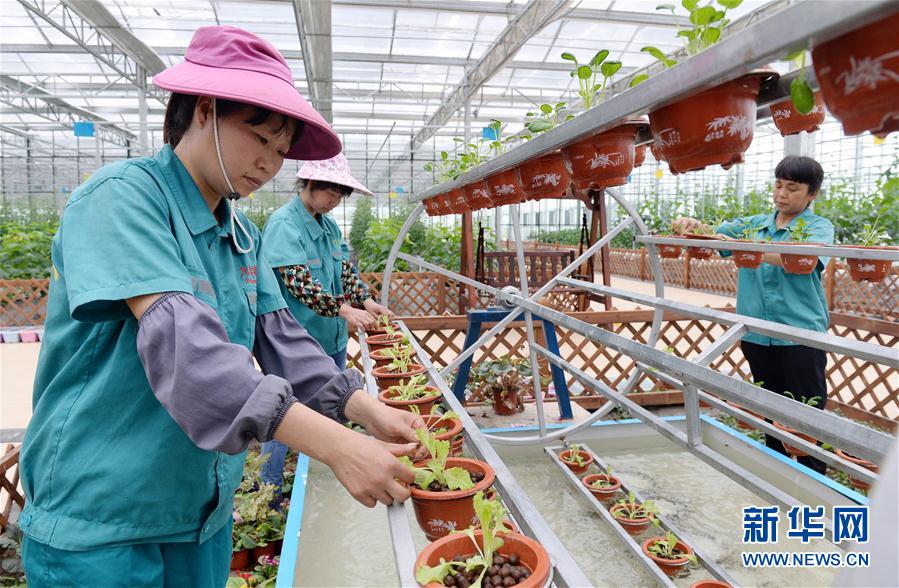 410գڽʡҶƺִЧũҵ԰ڣ򹤵Ĵֲ߲ڷڻе豸ϡ