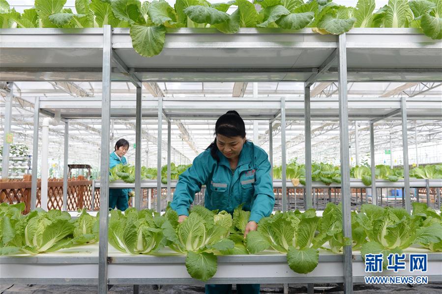 410գڽʡҶƺִЧũҵ԰ڣ򹤵Ĵ鿴߲˵ĳơ