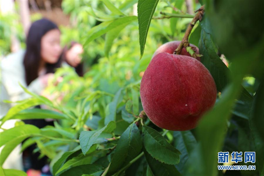 410գοںӱʡƽȪӴҴժҡ