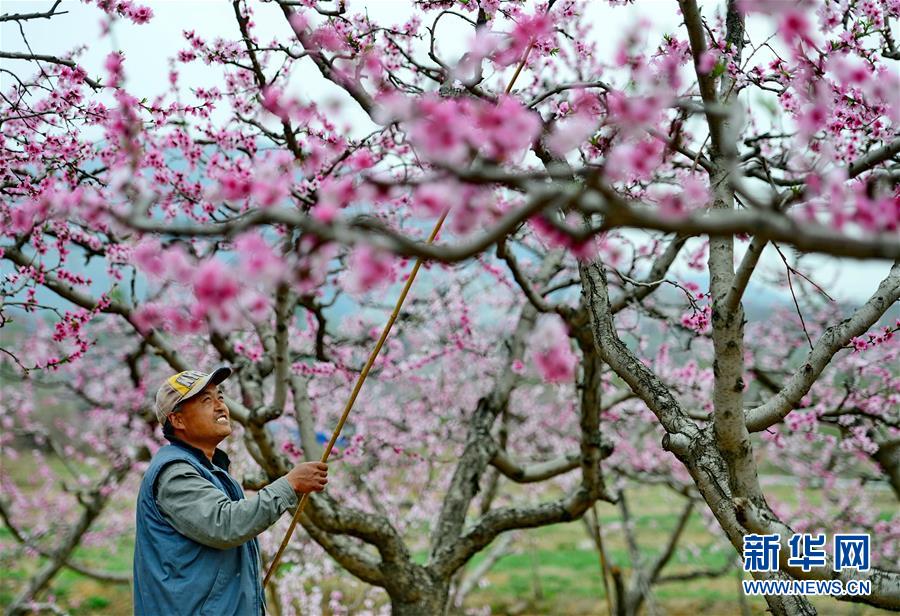 ӱ˳ƽأʮһӳ ũ˦ñ