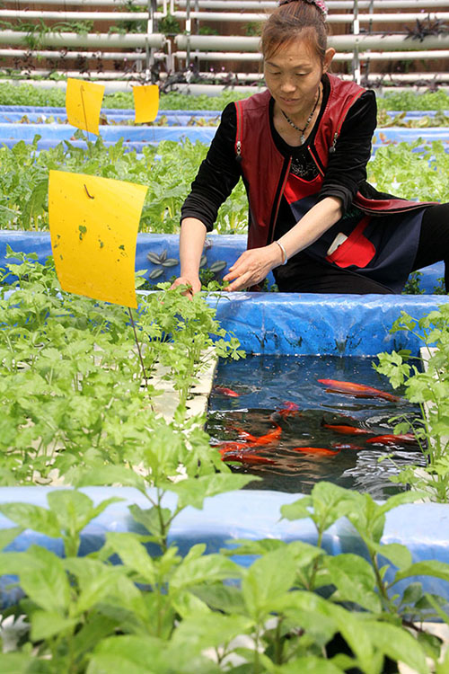 411գɽʡزЧ̬ũҵƼ޹˾Աڹá˹̬ģʽֲ߲ˡ