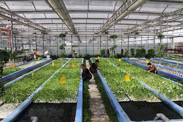 411գɽʡزЧ̬ũҵƼ޹˾Աڹá˹̬ģʽֲ߲ˡ