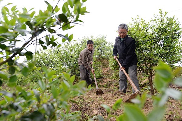 411գڽʡиǧĶͲأũڶͲдּ