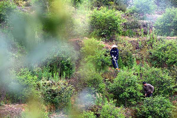 411գڽʡиǧĶͲأũڶͲдּ