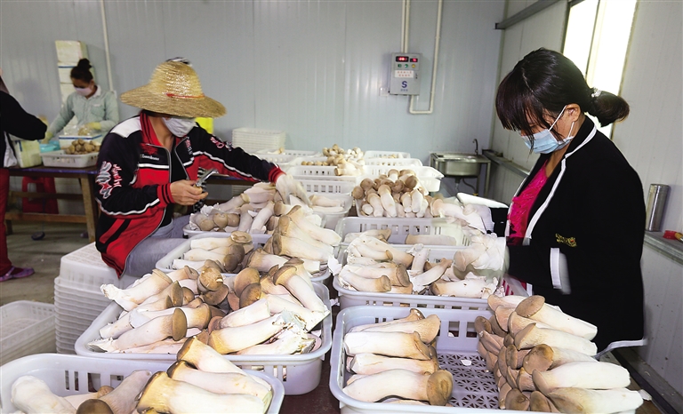 413գڳСƽġĢڷּӱ