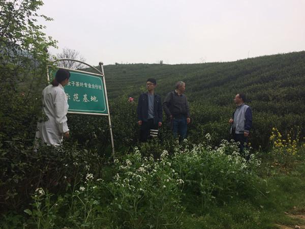 㽭ɫʳƷչ֤ ɫũƷƷ