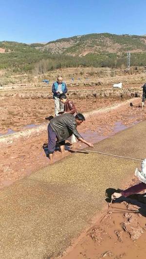 ĴոؼӴʺԵ࣬ؿ¸֮·