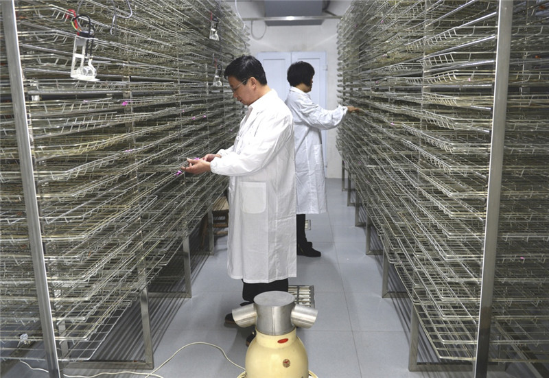 414գʡɣƹվĹԱڶԲֽдǰĵԡ