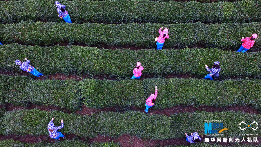 ڣ̲ȫг֪Ҳسġǰ衱ÿۼ۸ߴ4000ԪϡͼΪظŮڲժ²衣