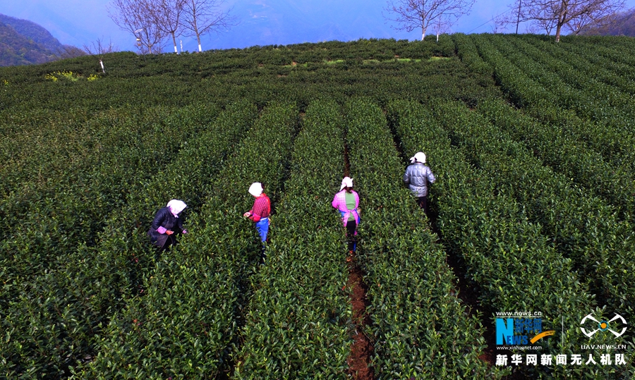 ͼΪڱ̿ɽ԰ظŮڲժ²衣