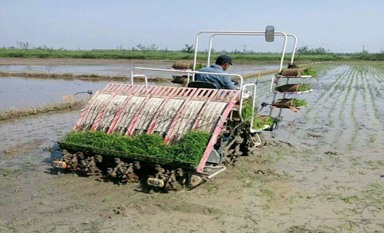 ºþÄ϶¦³ÇÇø»ú²åÑí¿ª²åÁË