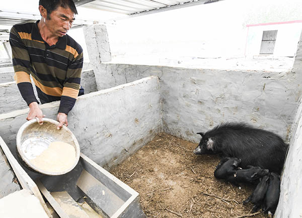 417գӱũרҵ繤ԱΪާϡ