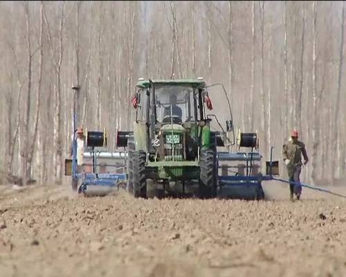 新疆精河县96.8万亩棉花春播拉开序幕
