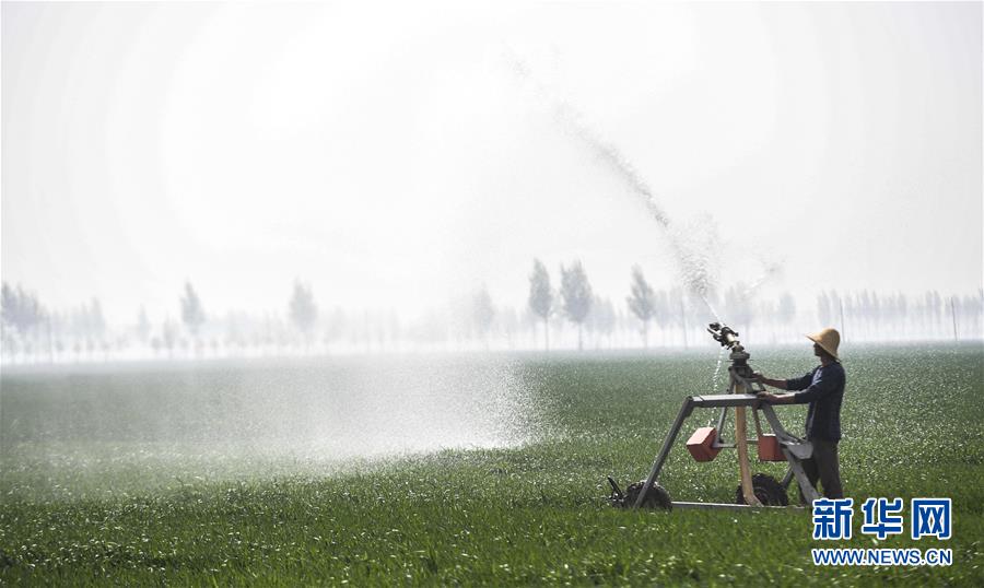 417գӱؾŹׯʹСнˮȡ