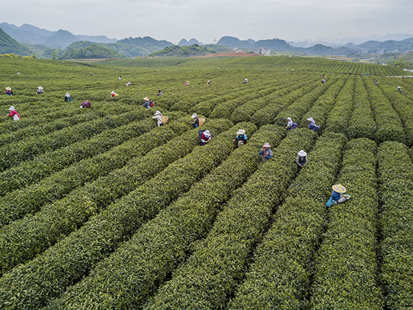 418գũڲ԰вժ²衣