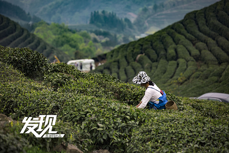 ɽΪҶζˬʴķҷṩȻ