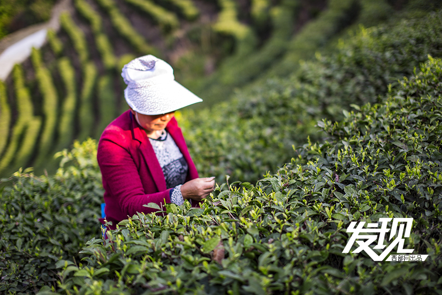 Ŀǰǲժĺʱڣũ˵ʱҪǱ̵ġҶһоѿ