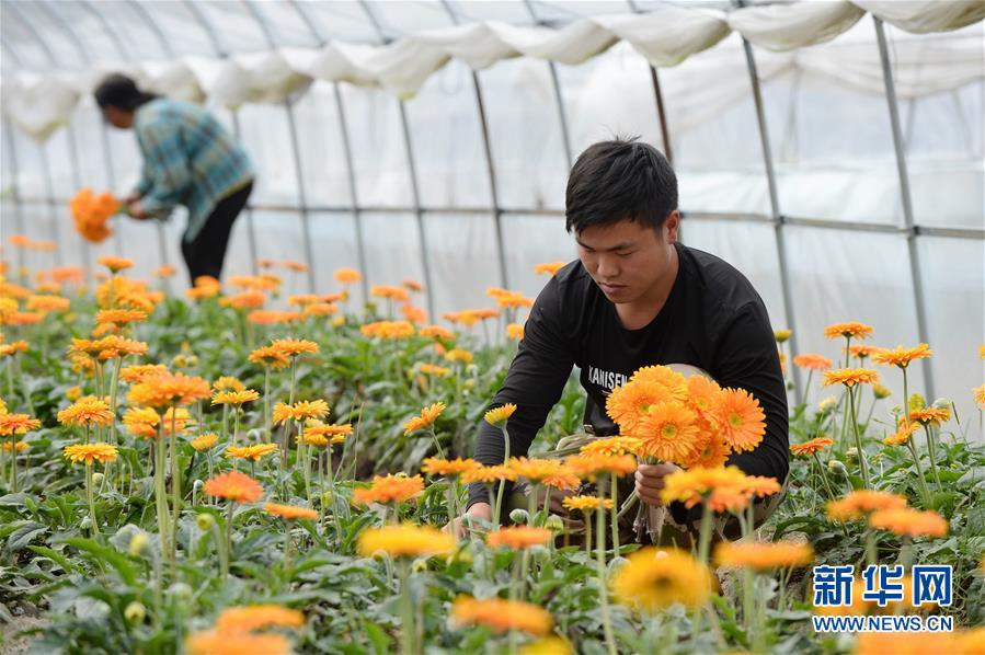 420գڽʡˮԴ壬ũڷ޾ֲڲժܡ