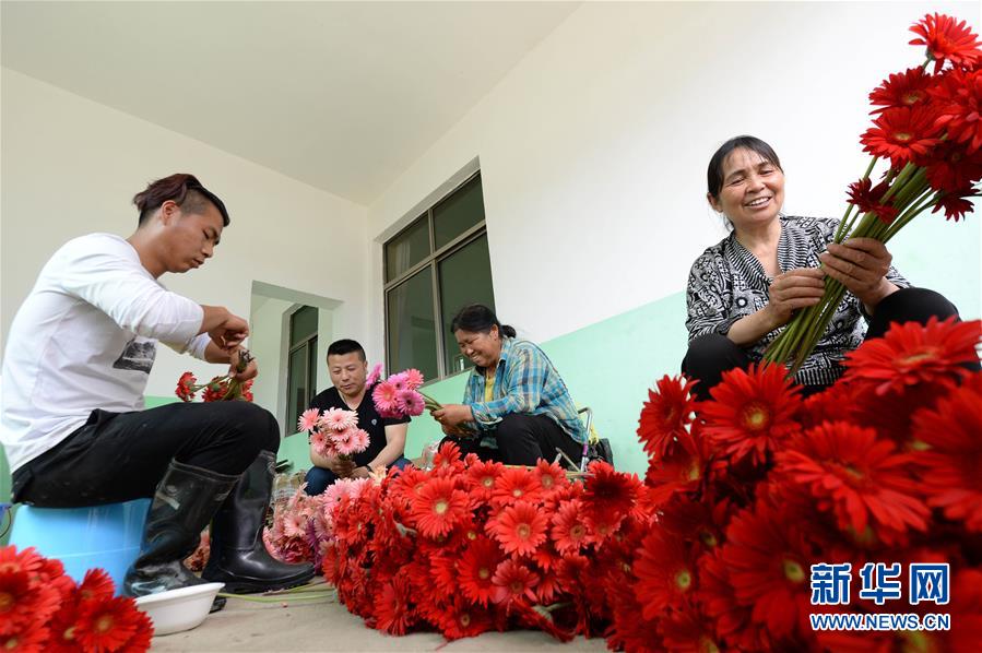 420գڽʡˮԴ壬ũڷ޾ֲڽժĻɸѡ׼