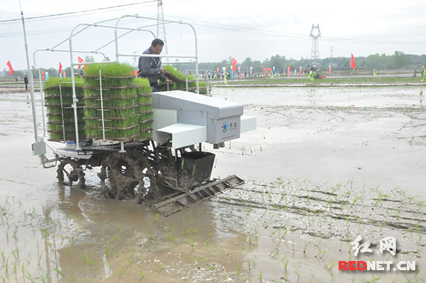 ¶л̺ʾũҵһƬæ˴ũæȳ