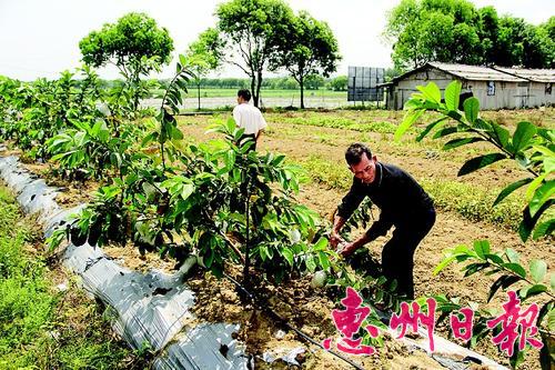 㶫ƶṹԸĸ ɫˮˮƷ