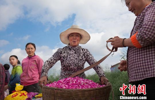 ĴǧĶʳõ徺 ɻɩæժ