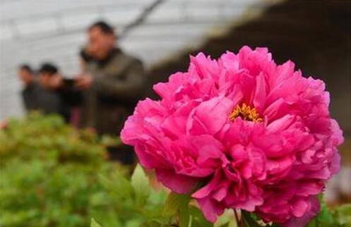 ӱ̨조ĵáҵ ɫҵ˼·