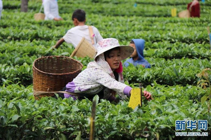 ͼΪũڲɽл԰ڲժ衣