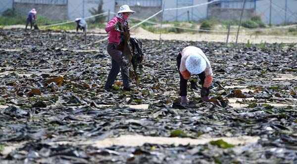 423գﱱĺϣɹ˸մӺʺ