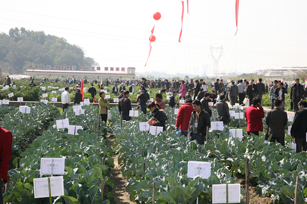 㶫+ЧӦͷ ִҵǿʡý