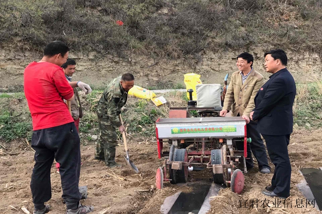 陕西宜君:依托农业科技 助推产业脱贫