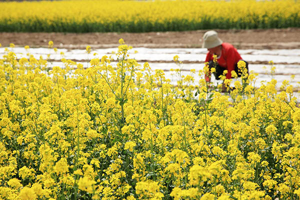 423գڸʡ¤վ壬ũͲ˻