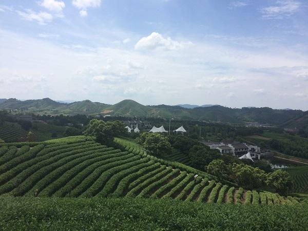 㽭ײȫ ƷƼֵ34.87Ԫ