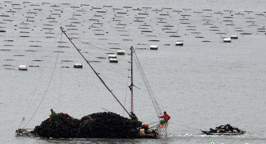 422գֳС洬մӡ԰ϵĺͷ