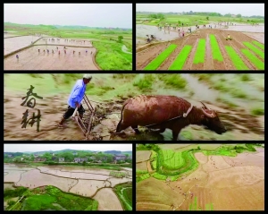 ץũʱæϺؽƻʳ162Ķ