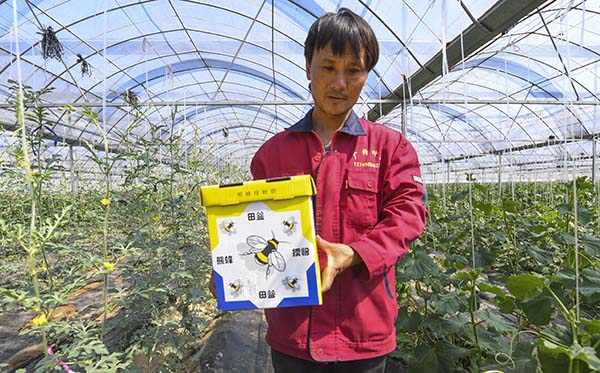 426գǿʹũߴڰڷŷ䡣