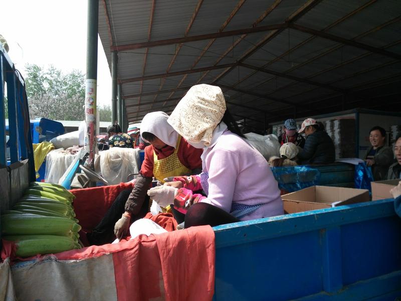 ˼ߵ ɽĳǲũ չũҵ߳ͼ