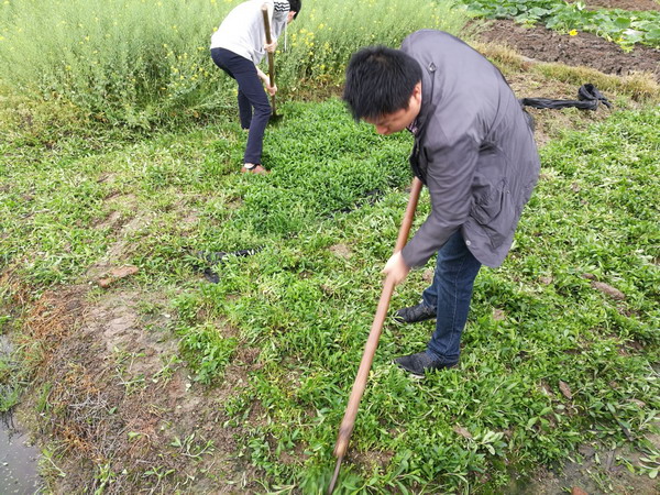 㽭ǿũҵִ ȷݶȼũƷȫ