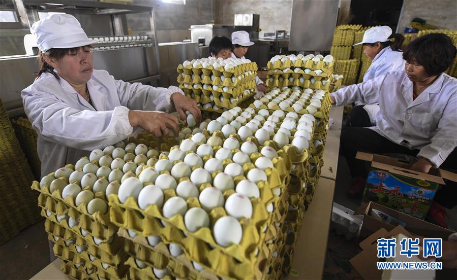 425գʳһԪֳصĹڷװԪ