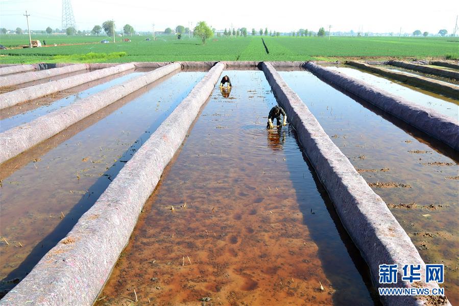 425գӱ̨ÿũֲרҵũֲź