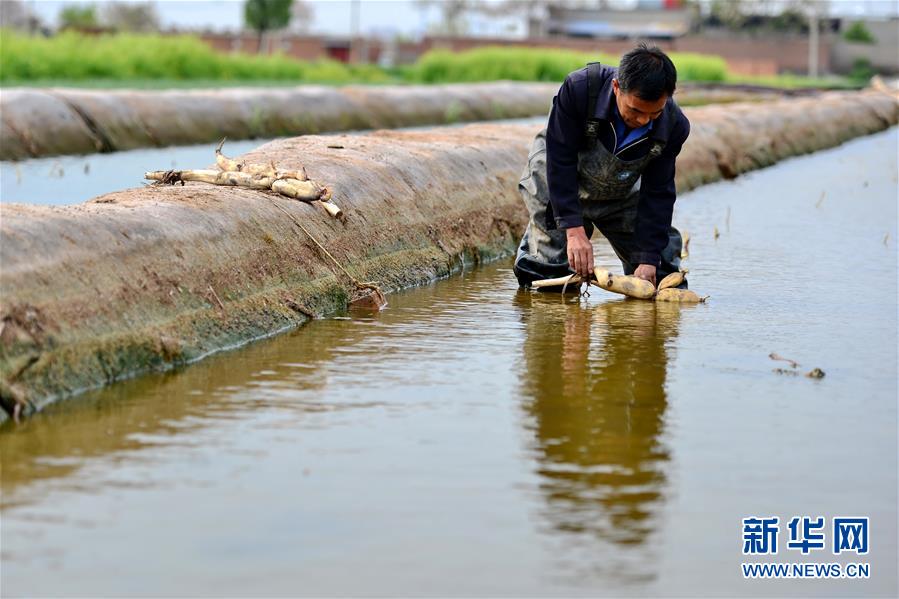 425գӱ̨ÿũֲרҵũֲź