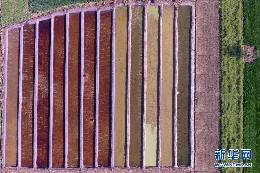 425գӱ̨ÿũֲרҵũֲź