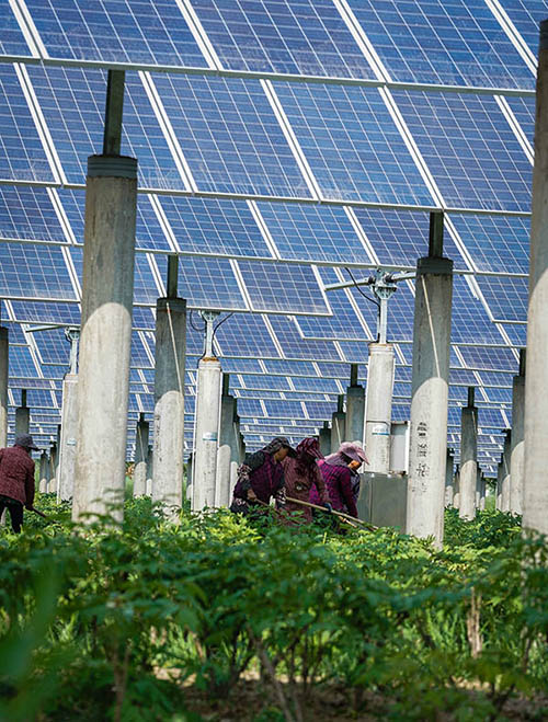 426գũڸԴ޹˾15ũ⻥Ŀĵݡ