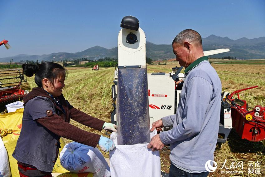 ͼΪ430գҵոƽ۽ֵҶ»ũոͲˡ