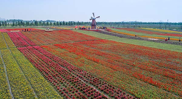 427գںϷаţǴ׻档