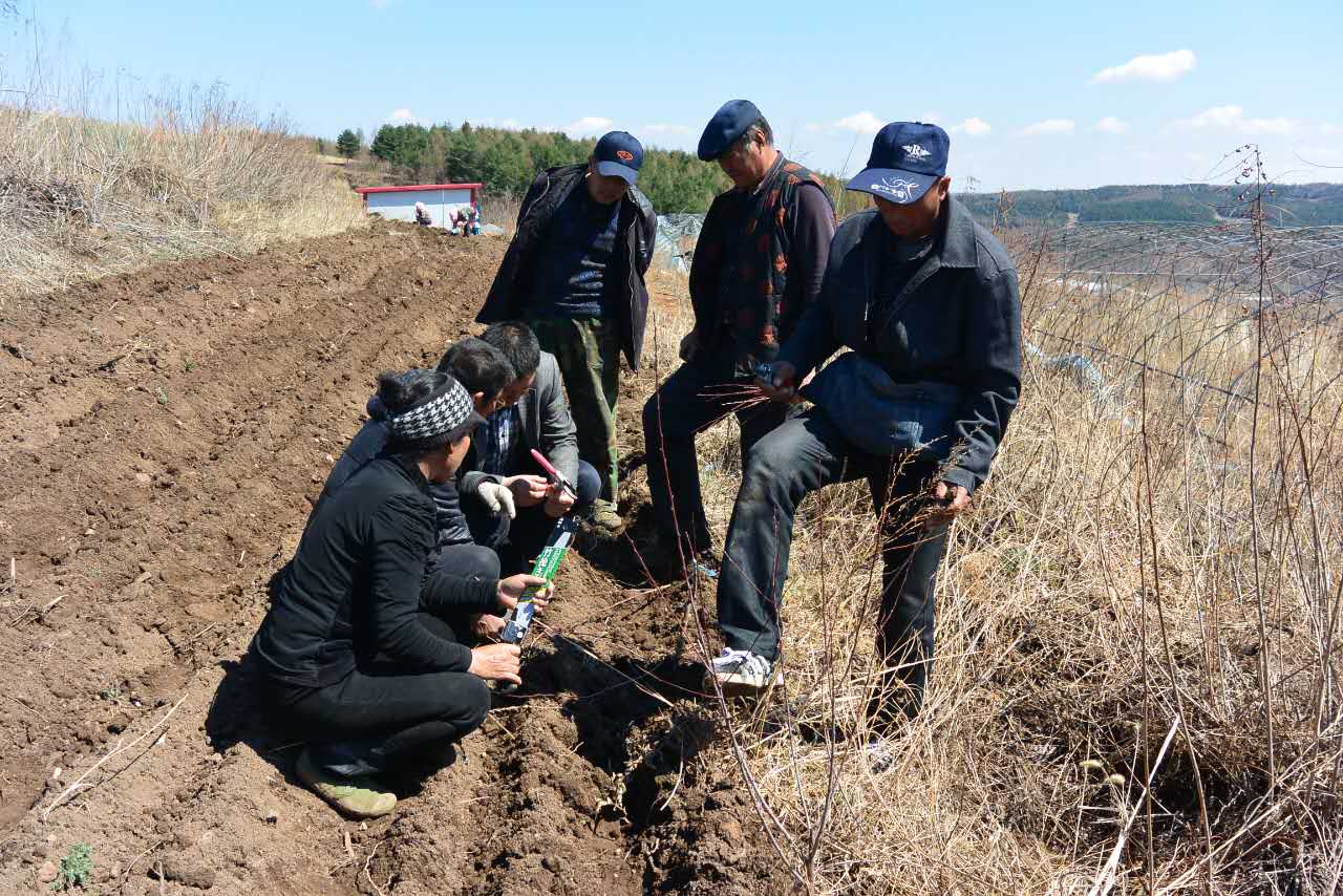 ũίץũʱָɫ̬ũҵʾؽ