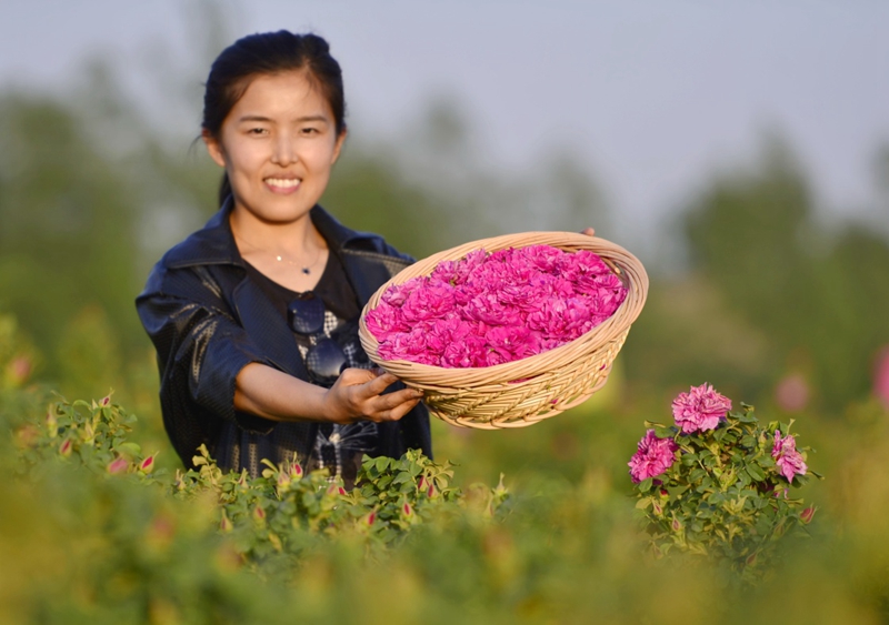 430գοڹشׯõҵʾչʾժʳõ塣