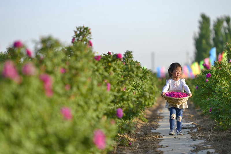 430գһλСڹشׯõҵʾذʳõ塣